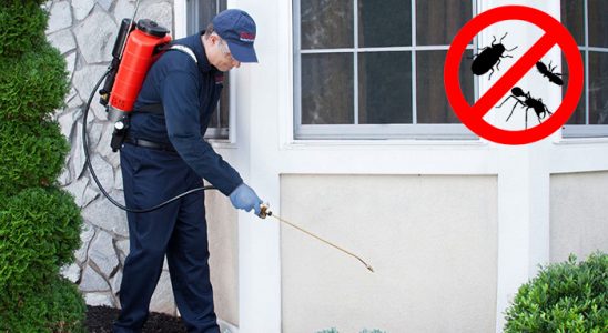 Balatçık Böcek İlaçlama böcek ilaçlama ve haşere kontrolü — ilaclama-tr.com